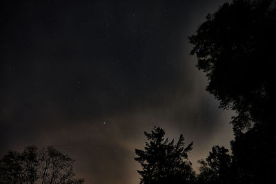 Low angle view of silhouette trees against sky at night