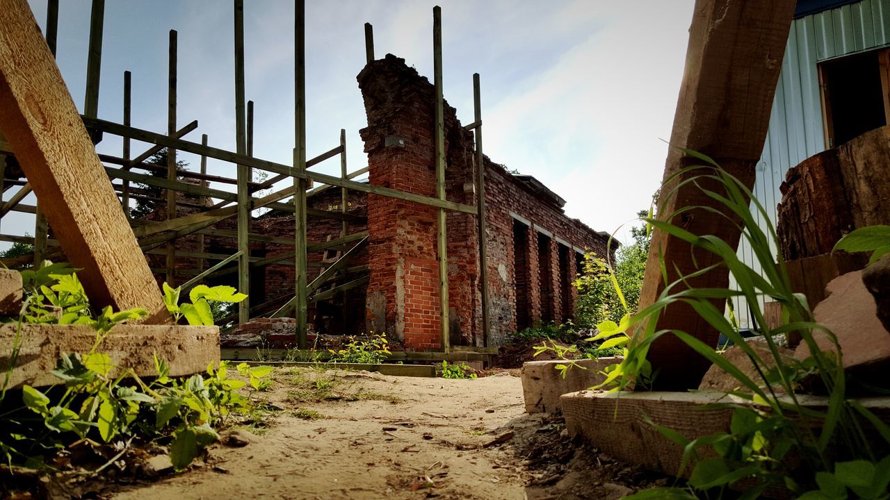 built structure, architecture, plant, old, sky, building exterior, abandoned, damaged, obsolete, old ruin, ruined, growth, run-down, day, low angle view, sunlight, no people, stone wall, deterioration, outdoors