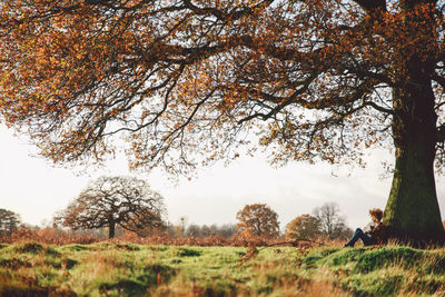Woman sitting under tree in field