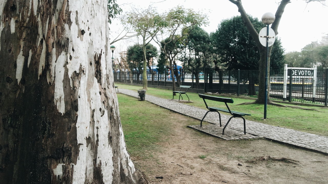 tree, tree trunk, empty, bench, park - man made space, tranquil scene, tranquility, absence, branch, solitude, remote, sky, park, scenics, lawn, park bench, day, nature, outdoors, growth, beauty in nature, grassland, footpath, countryside, non-urban scene