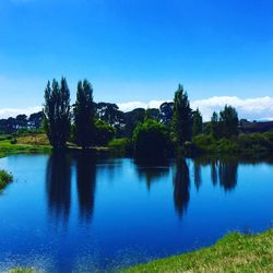 Reflection of trees in calm lake