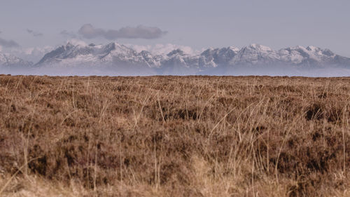 Scenic view of landscape