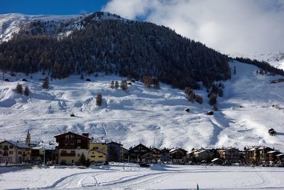Panoramic view of snow covered houses and trees against sky