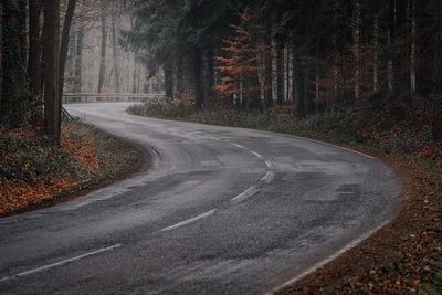 Road amidst trees in forest