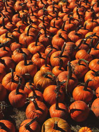 Full frame shot of pumpkins at market