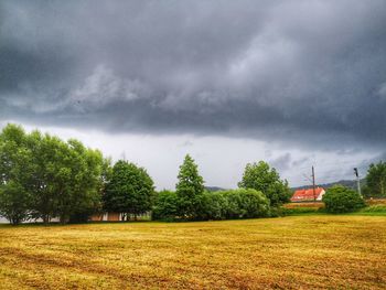 Trees on field against cloudy sky