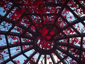 Low angle view of tree