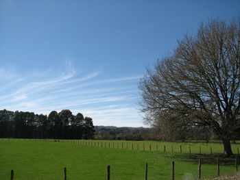 Scenic view of grassy field against cloudy sky