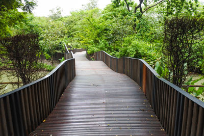 Empty footbridge along plants and trees