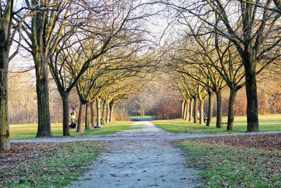 Road amidst bare trees during winter