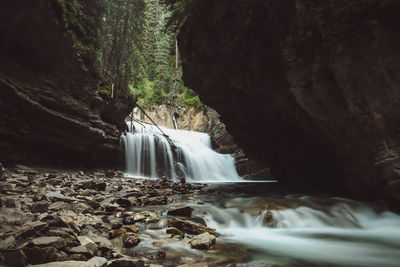 Scenic view of waterfall in forest