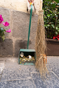 People working on footpath by potted plant against wall