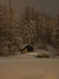 Snow covered field by trees and houses during winter