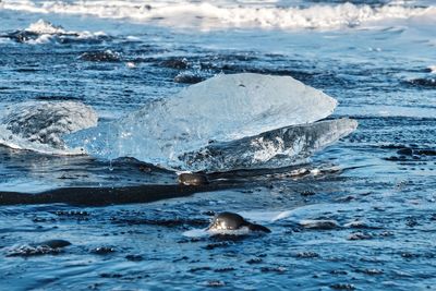 Iceland jökulsarlon glacierlagoon frozen ice close up