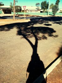 Shadow of bicycle on road