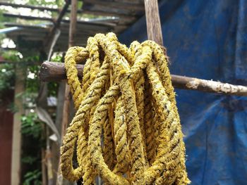 Close-up of rope hanging on wood