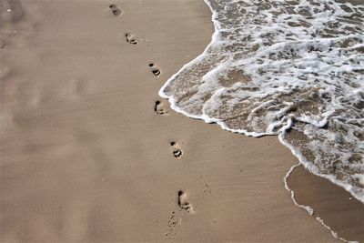 High angle view of footprints on beach