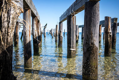 Panoramic view of wooden posts in sea against sky