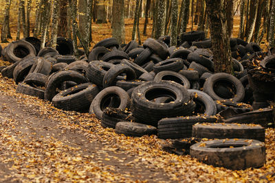 Old automobile tyre thrown out in a forest. noise is present