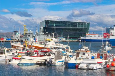 Fishing boats moored at harbor against sky