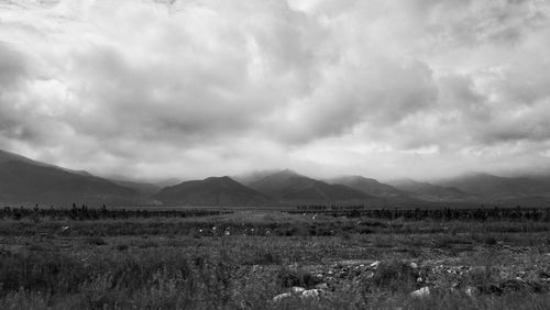 Scenic view of field against sky