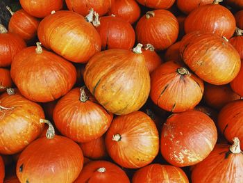 Full frame shot of pumpkins