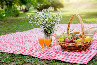 Food and juice on red picnic blanket over grass at park