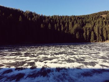 Scenic view of trees against clear sky