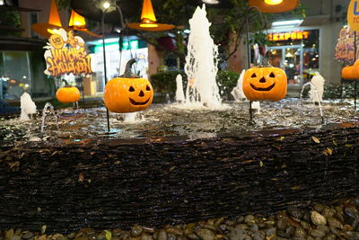 View of pumpkins at night