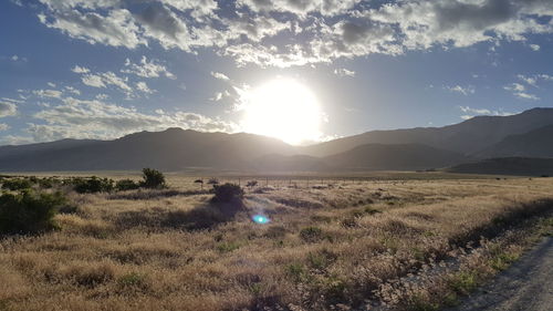 Scenic view of field against sky during sunset