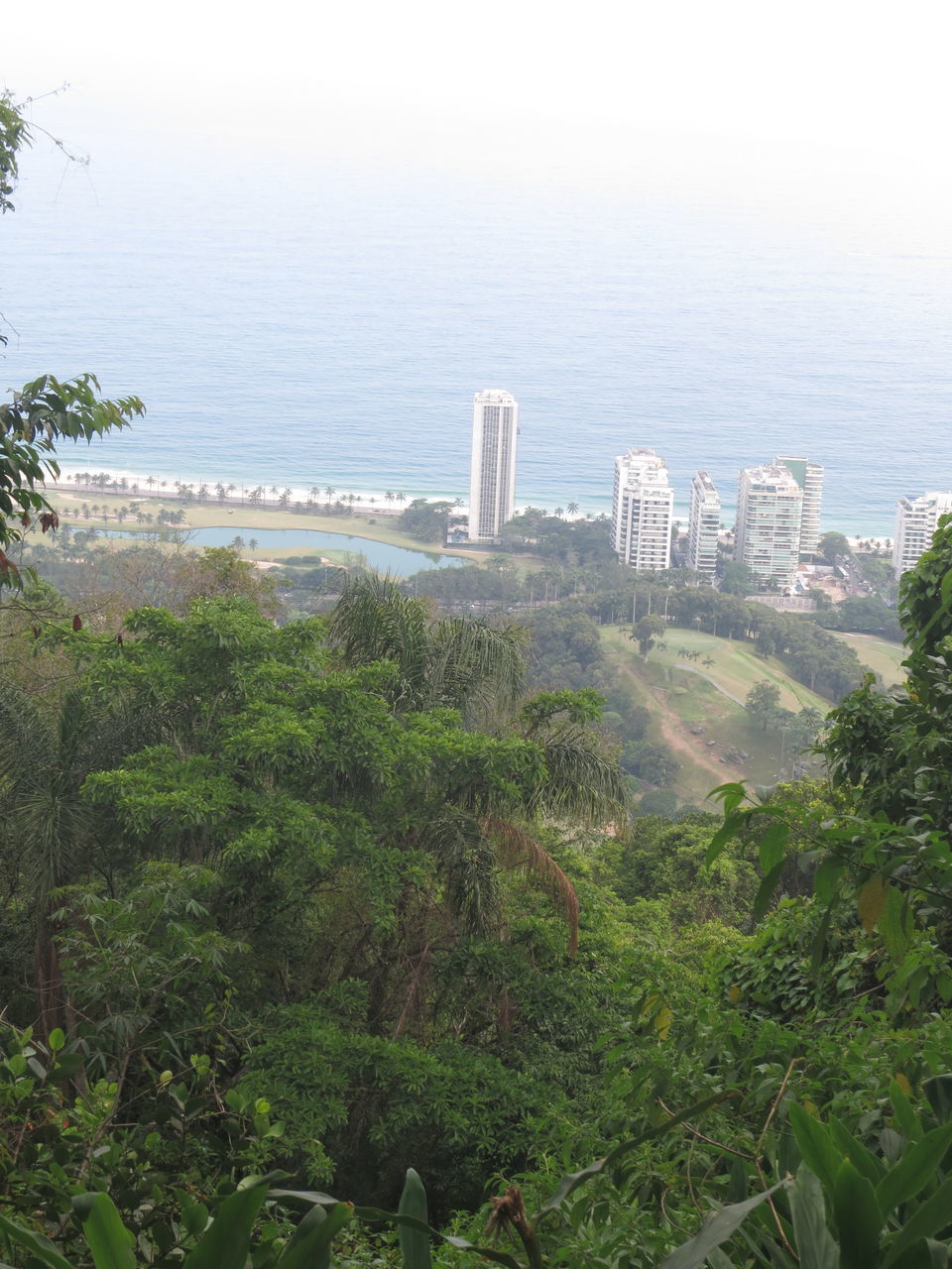 HIGH ANGLE VIEW OF TREES AND BUILDINGS IN SEA