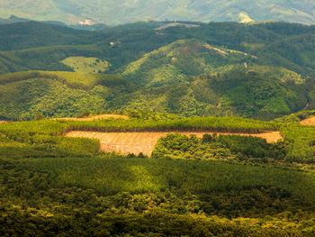 Scenic view of agricultural landscape