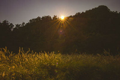 Scenic view of field against sky during sunset