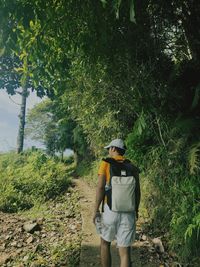 Rear view of young man standing in forest