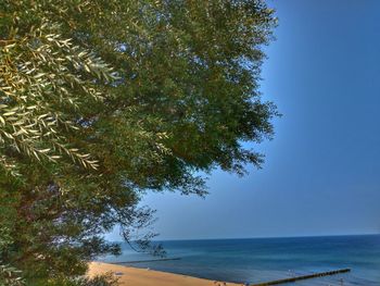 Scenic view of sea against clear blue sky