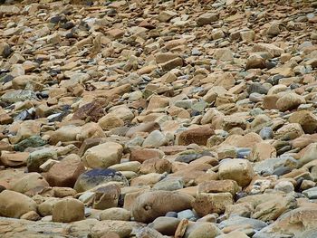 High angle view of stones on beach