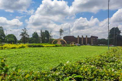 Scenic view of agricultural field against sky