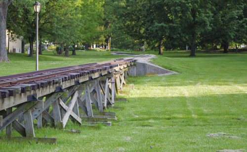 Trees in park