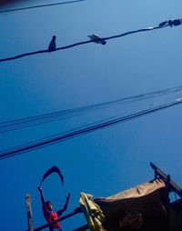 Low angle view of birds against clear blue sky