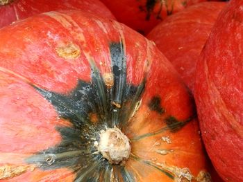 Full frame shot of pumpkins