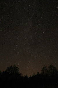 Low angle view of silhouette trees against sky at night