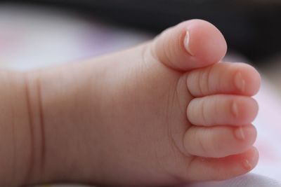 Close-up of hand holding baby feet