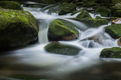 Close-up view of stream