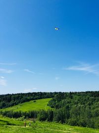 Scenic view of field against blue sky