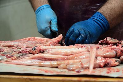 Midsection of man preparing food