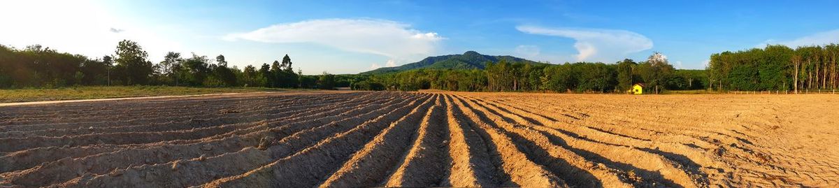 Panoramic view of agricultural field against sky