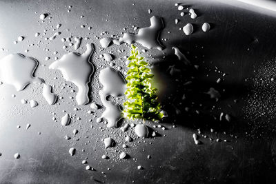 High angle view of raindrops on glass