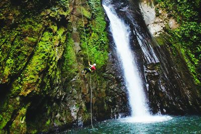 Waterfall in forest