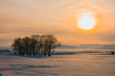 Scenic view of snow covered land during sunset