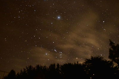 Low angle view of silhouette trees against sky at night